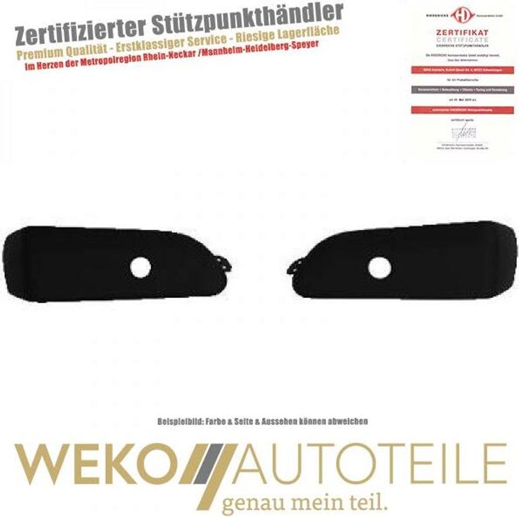 Zier Schutzleistensatz Stoßstange hinten DIEDERICHS 4481067 für RENAULT