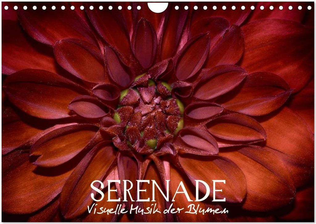 Serenade - Visuelle Musik der Blumen (Wandkalender 2026 DIN A4 quer), CALVENDO Monatskalender