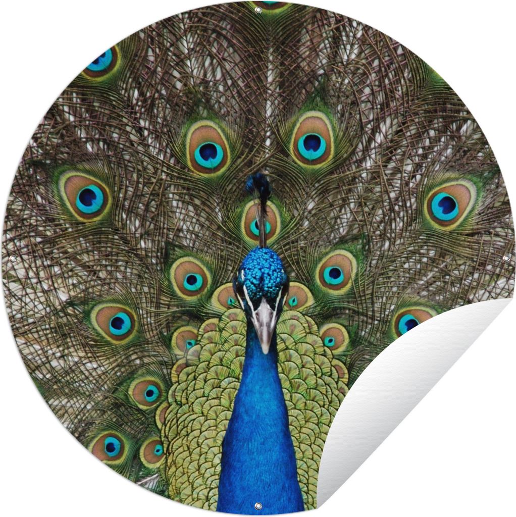 MuchoWow Gartenposter Outdoor-Poster Rund Pfau - Farben - Federn Ø 120 cm Gartendeko Rundes Poster draußen