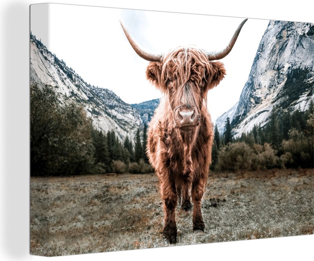 MuchoWow - Leinwandbilder - Schottischer Highlander - Berg - Tiere, Wandbild, Wanddeko Bilder Wohnzimmer, 60x40 cm