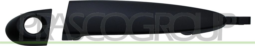 PRASCO BM8228004 Türgriff Vorne Links für BMW 3 Touring (E91)