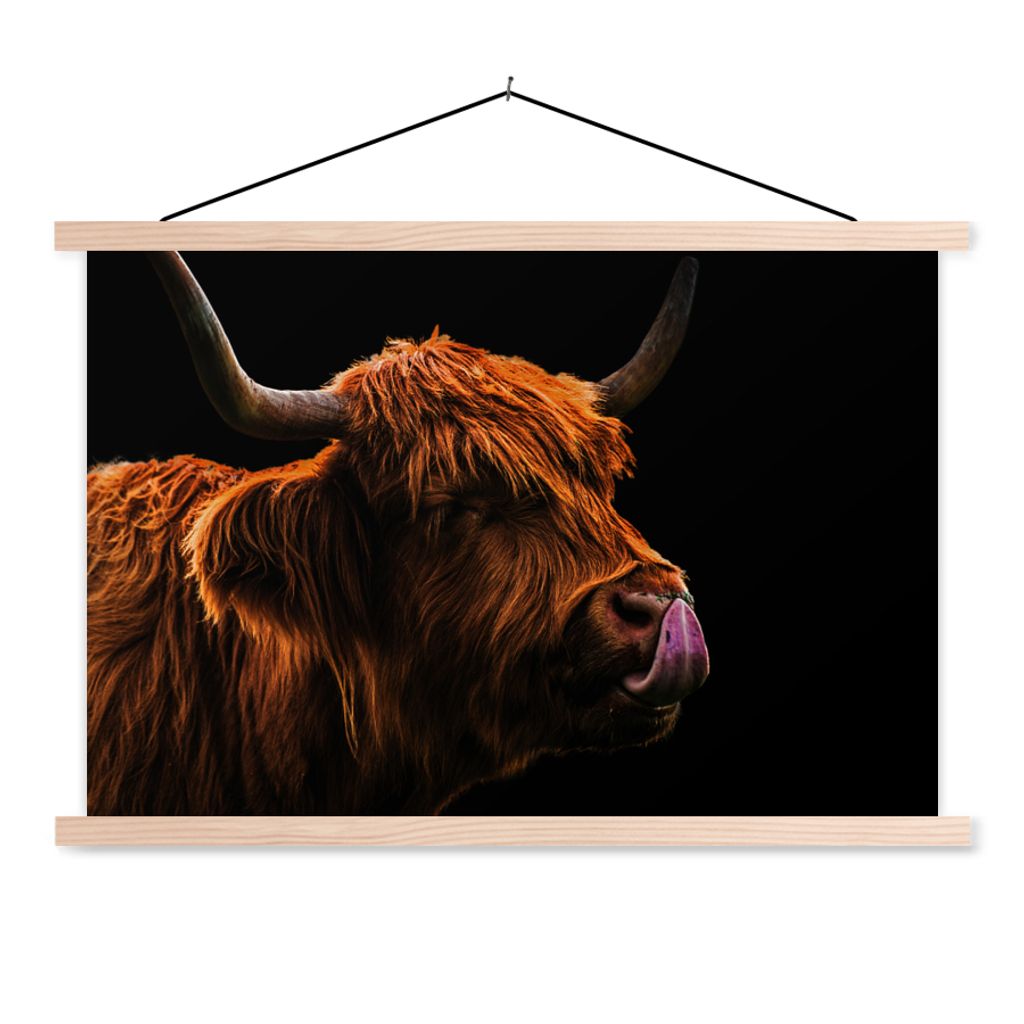 MuchoWow Textilposter Schottischer Highlander - Zunge - Nase 60x40 cm mit holzfarbenen Rahmen - Bilder