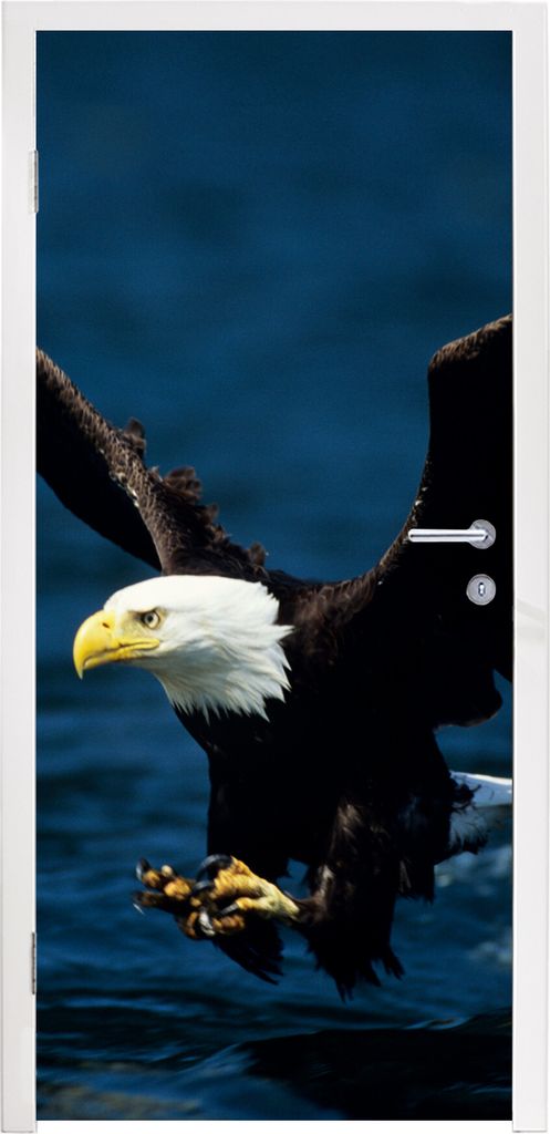MuchoWow Türtapete Selbstklebende Türfolie Adler - Nahaufnahme - Wasser 85x205 cm Türposter Türaufkleber Klebefolie Türklebefolie - Türverz...