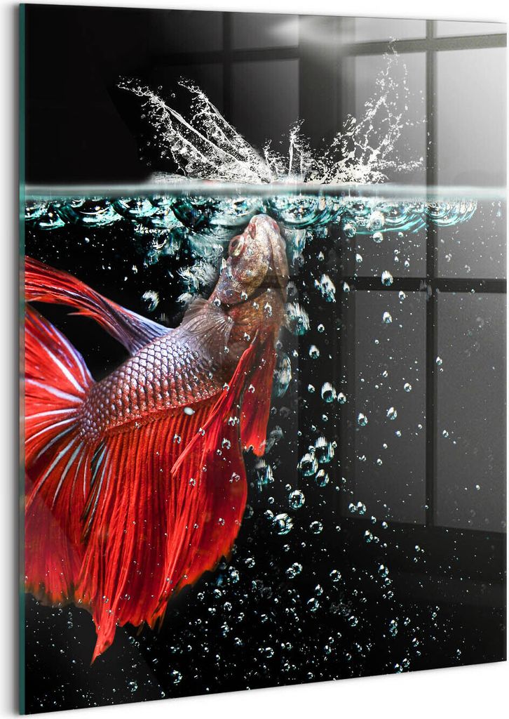 Designer Glasbild - Wandbild - Glas Bild - 60x80 cm - Fische Im Aquarium