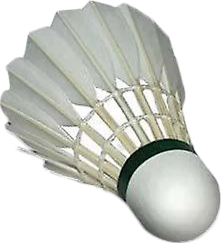 Volants de badminton en plumes naturelles Yonex Aeroclub TR RD1753 - 12 unités