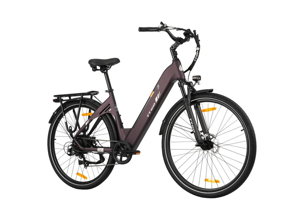 TTGO C3 SE E-Bike 28" Telaio in lega di alluminio Batteria Immagine del prodotto 