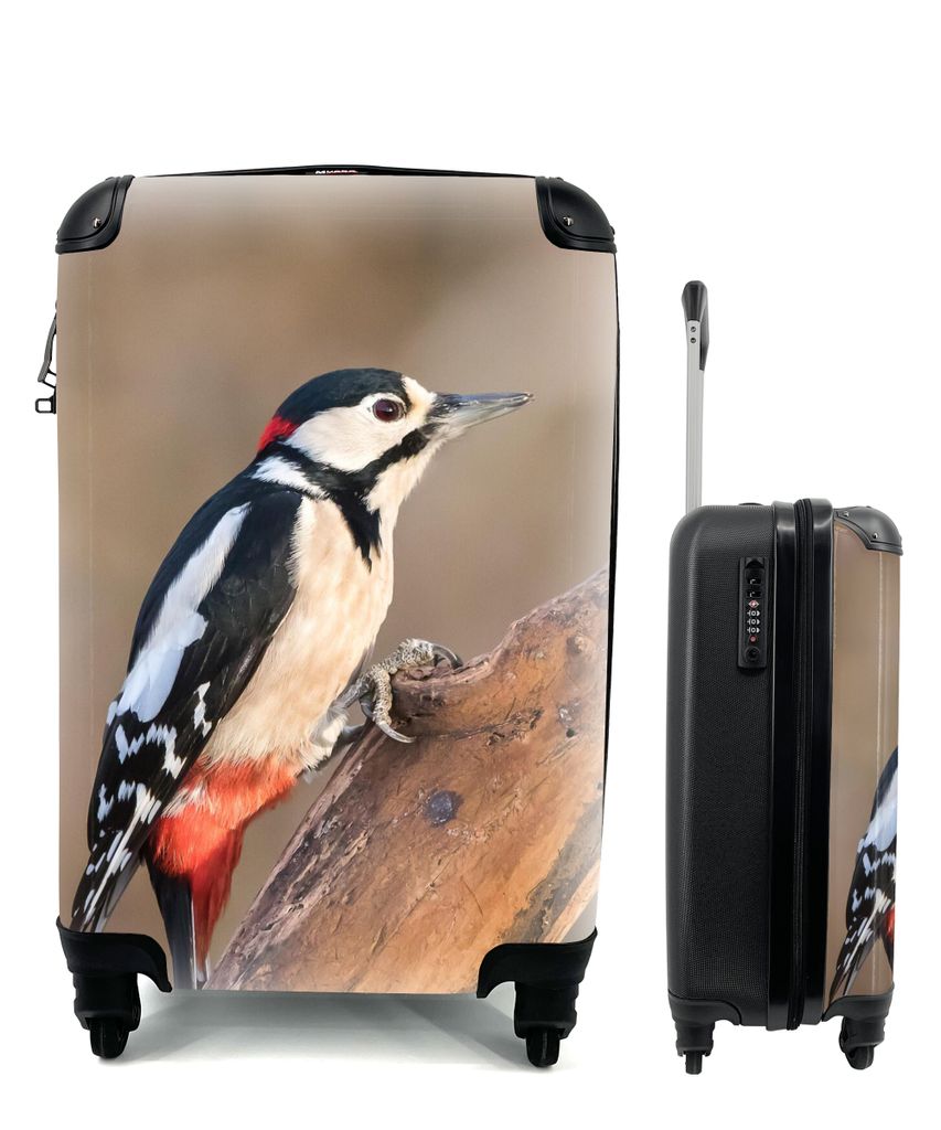 MuchoWow Koffer Handgepäck Trolley Rollkoffer Kleine Reisekoffer mit 4 Rollen - Ein Buntspecht bei Sonnenuntergang - Cabin Size < 55x40x23 cm & ...