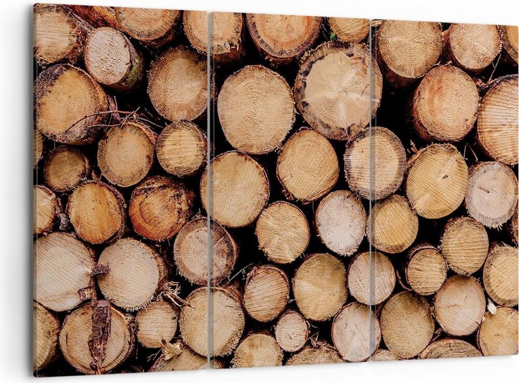 Bild auf Leinwand - Leinwandbild - 3 Teile - Holz Baumstämme Stämme - 105x70cm - Wand Bild - Wanddeko - Wandbilder - Leinwanddruck - Bilder - Wan...