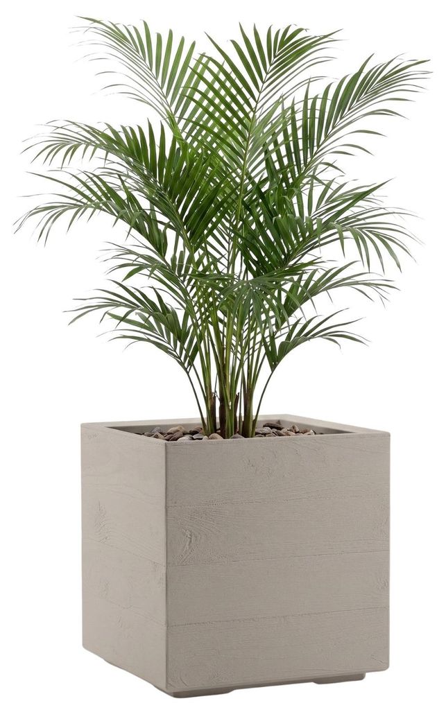 Pot de fleurs sur roulettes, couleur beige, aspect bois, Image du produit 