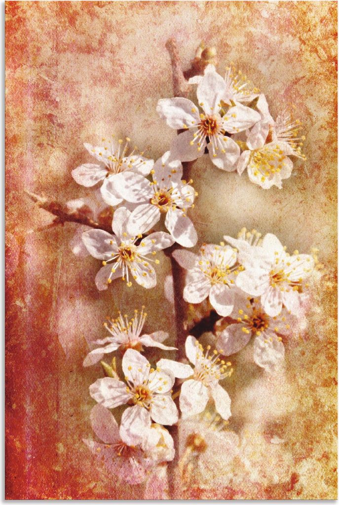 ARTland Wandbild Alu für Innen & Outdoor Kirschblüten Größe: 40x60 cm