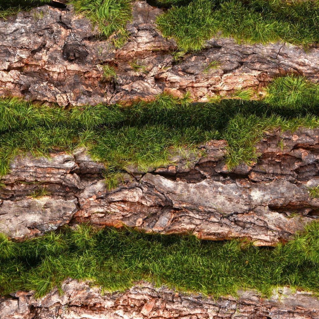 Repiterra® Terrarium Rückwand 3D Hintergrund Rinde Design Produktbild 4