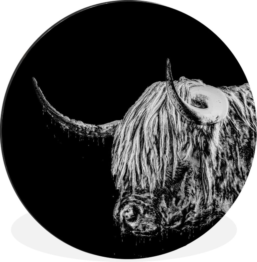 MuchoWow Aluminium Wandkreis Schottischer Highlander - Kuh - Schwarz - Weiß Ø 30 cm Wanddeko Modern Wohnzimmer - Wand Bild - Wohnzimmer - Runde...