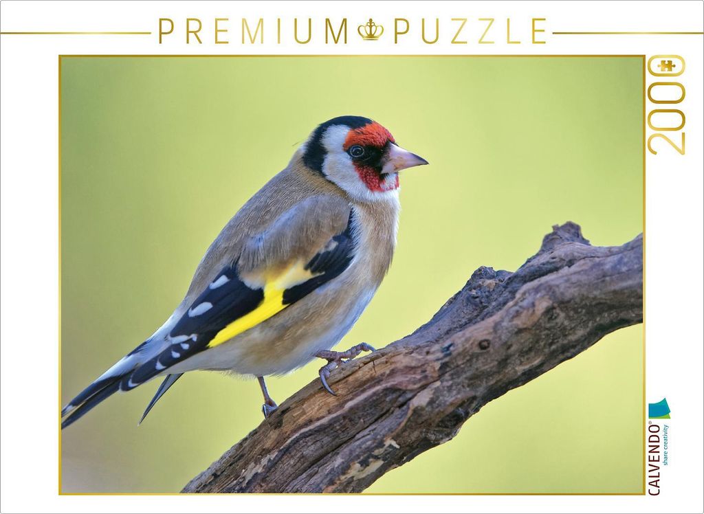 CALVENDO Puzzle Stieglitz 2000 Teile Puzzle quer | 2000 Produktbild 