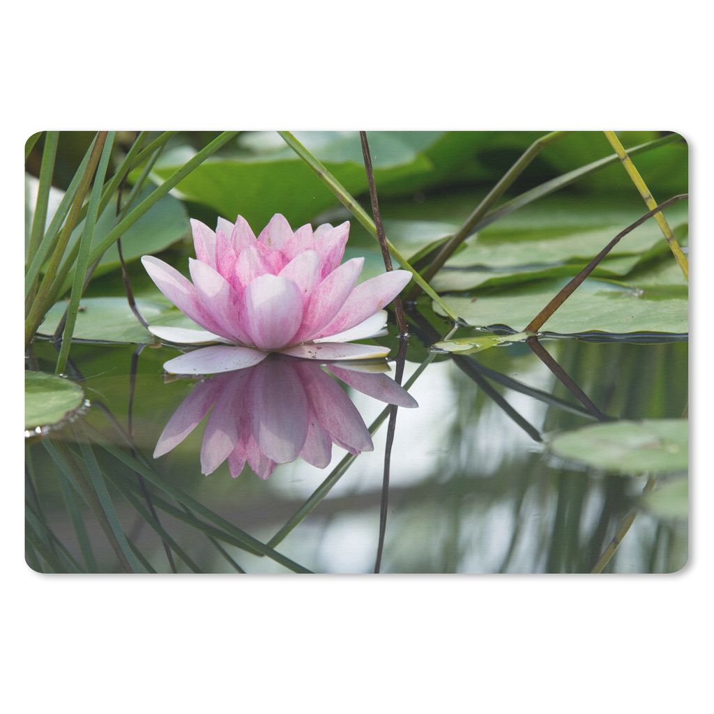 MuchoWow Schreibtischunterlage Blumen - Lotus - Wasser 60x40 cm - XXL Mauspad - Großes Mauspad