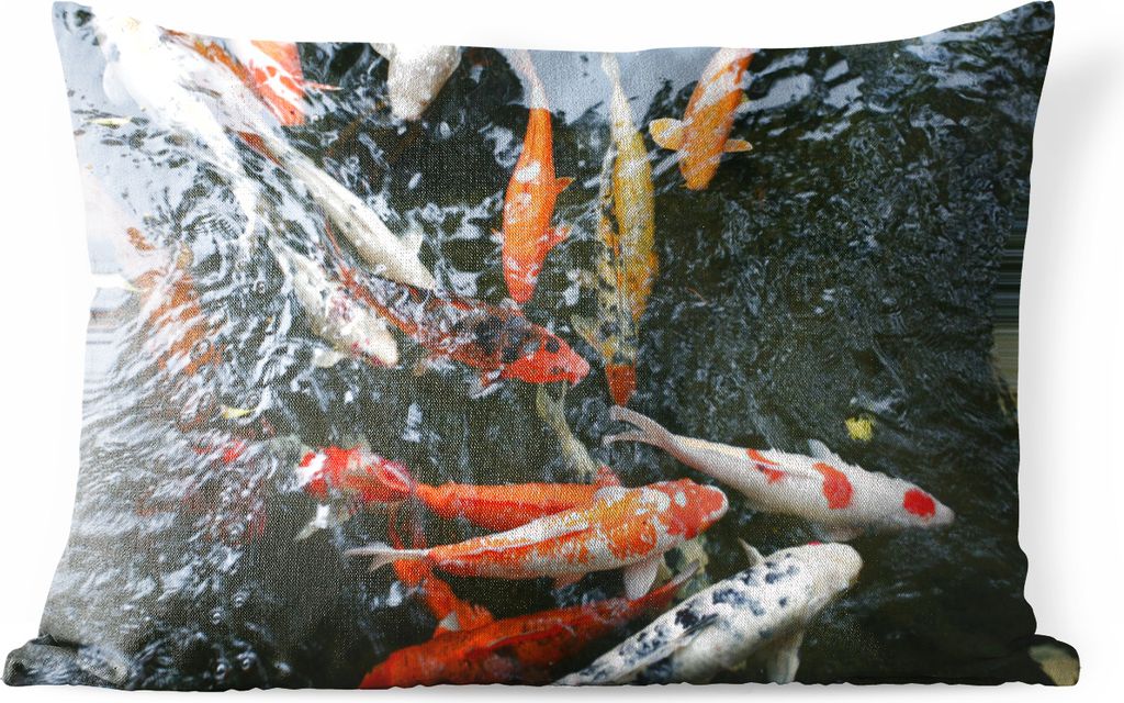 MuchoWow Outdoor Kissen - Eine große Gruppe von Koi Karpfen - 60x40 cm - Wetterfest - Lounge Kissen - Zierkissen - Kissen für Innenräume
