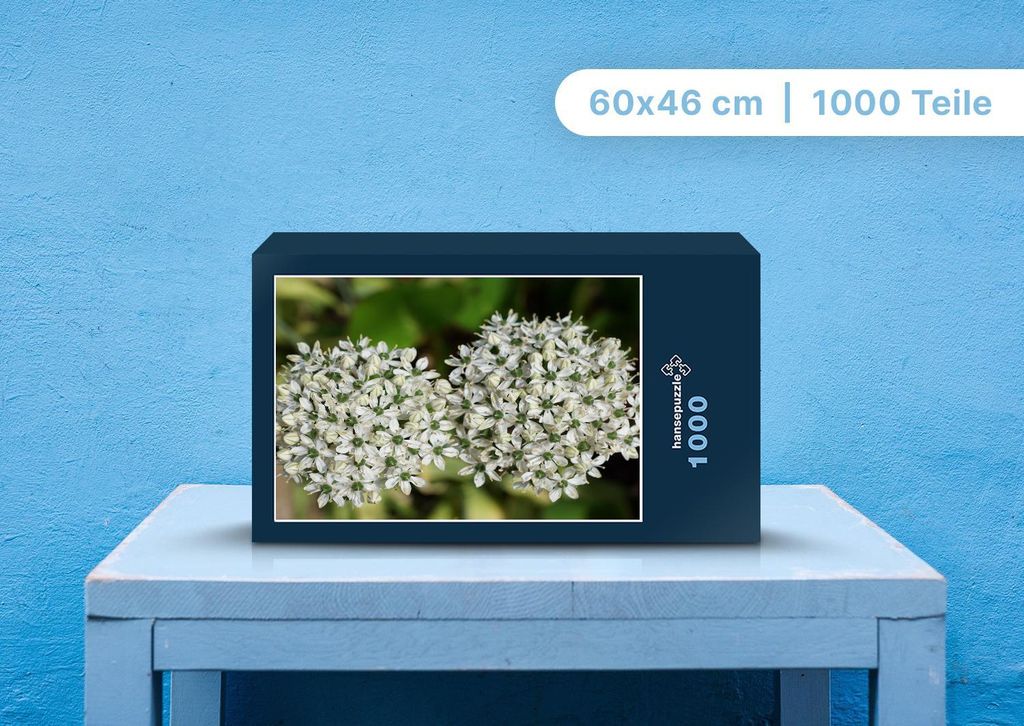 hansepuzzle 98901 - Weiße Blumen Puzzle, 1000 Teile, Natur, 60,0 x 46,0cm mit hochwertiger Aufbewahrung, Kartonbox und wiederverschließbarem Beutel