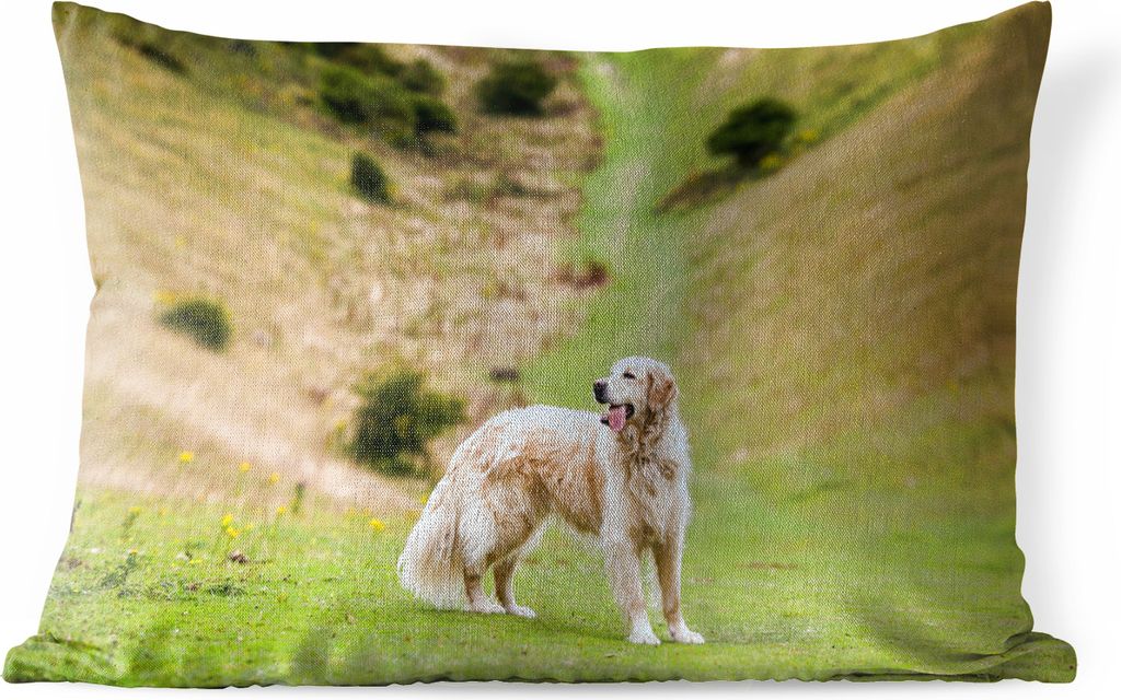 MuchoWow Outdoor Kissen - Schönes Bild eines Golden Retrievers - 60x40 cm - Wetterfest - Lounge Kissen - Zierkissen - Kissen für Innenräume