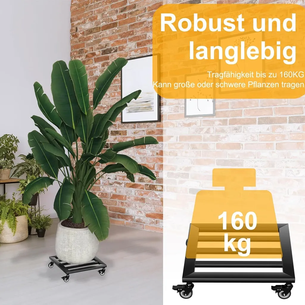 Planche à roulettes pour plantes en métal robuste avec roues freinées