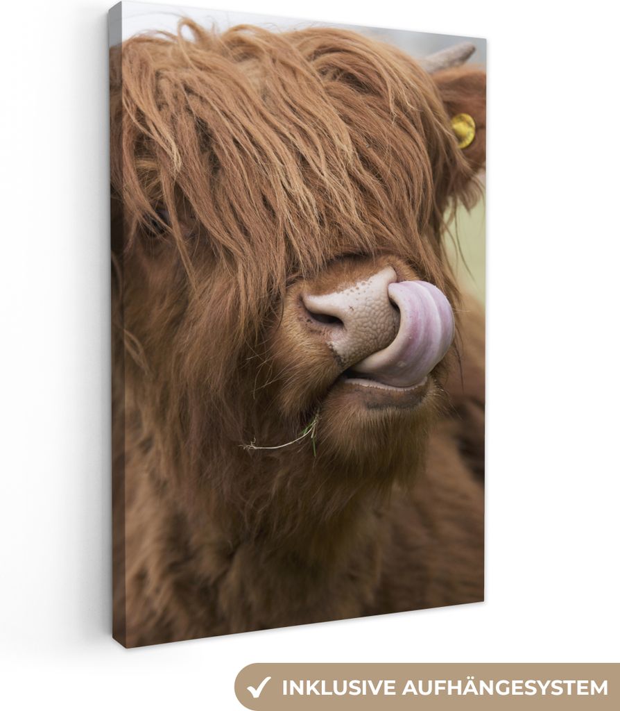 MuchoWow - Leinwandbilder - Schottischer Highlander - Braun - Tiere, Wandbild, Wanddeko Bilder Wohnzimmer, 80x120 cm