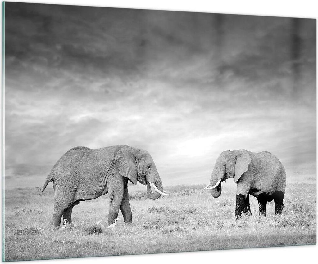 Bilder auf glas - Einteilig - Elefanten Schwarzweiß Safari - 100x70cm - Glasbilder - Wandbilder - Bilder - Wanddekoration aus Glas - Glas Bilder -...