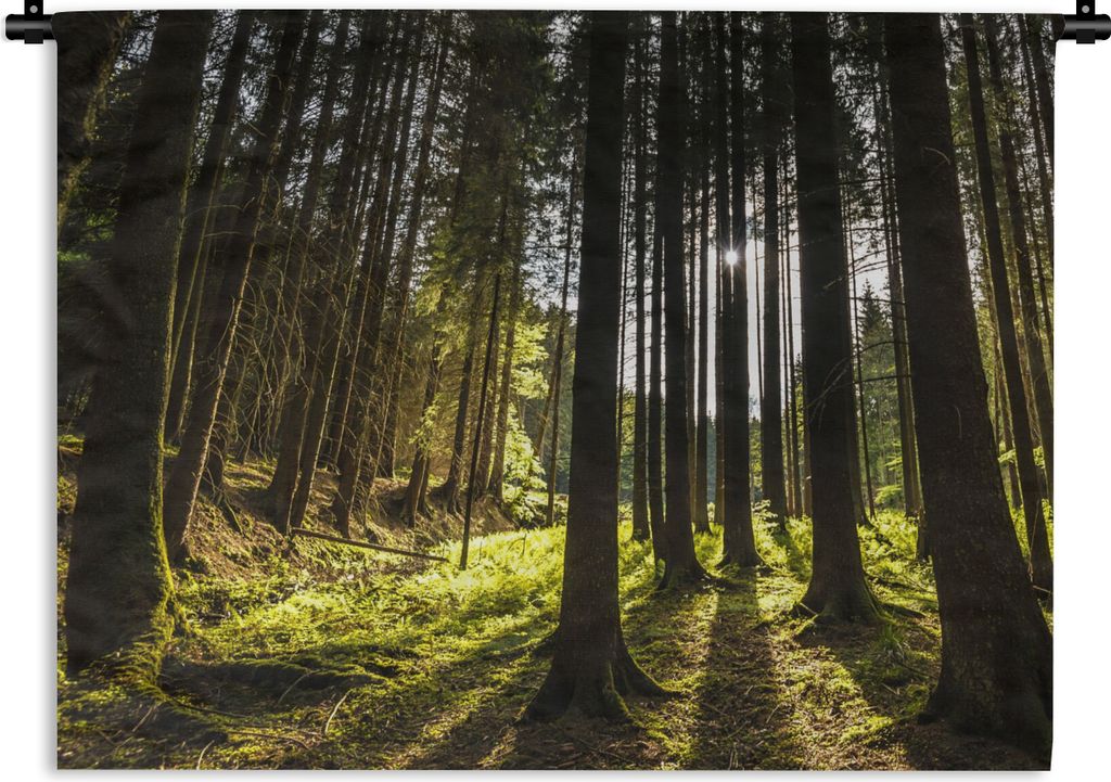 MuchoWow Wandteppich Wandbehang Baum - Natur - Sonne - Wald 90x67.5 cm Tapisserie Dekoration Wandtuch - Fototeppich - Wand-Skulpturen