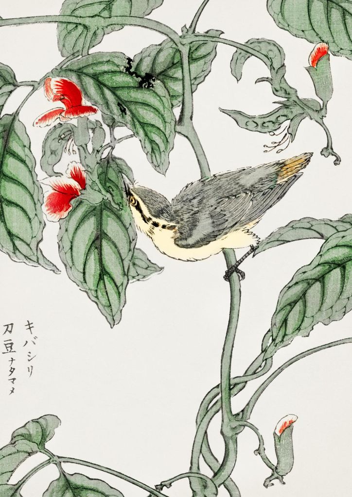 Plakat 21x29,7cm Baumläufer. Japanisches Vintage Kashu für das Wohnzimmer