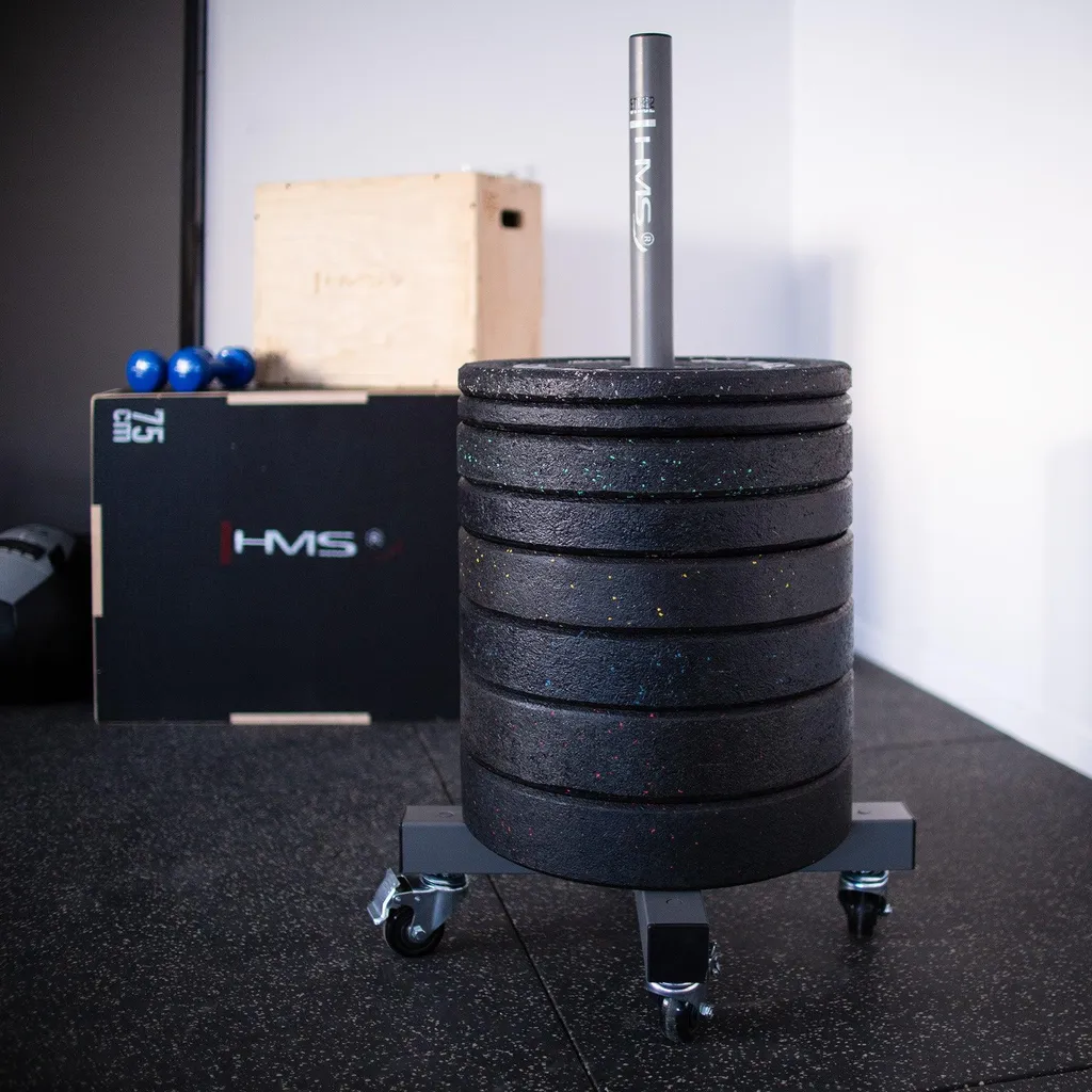 Rack de rangement disques de fonte pour salle de sport et musculation - 7