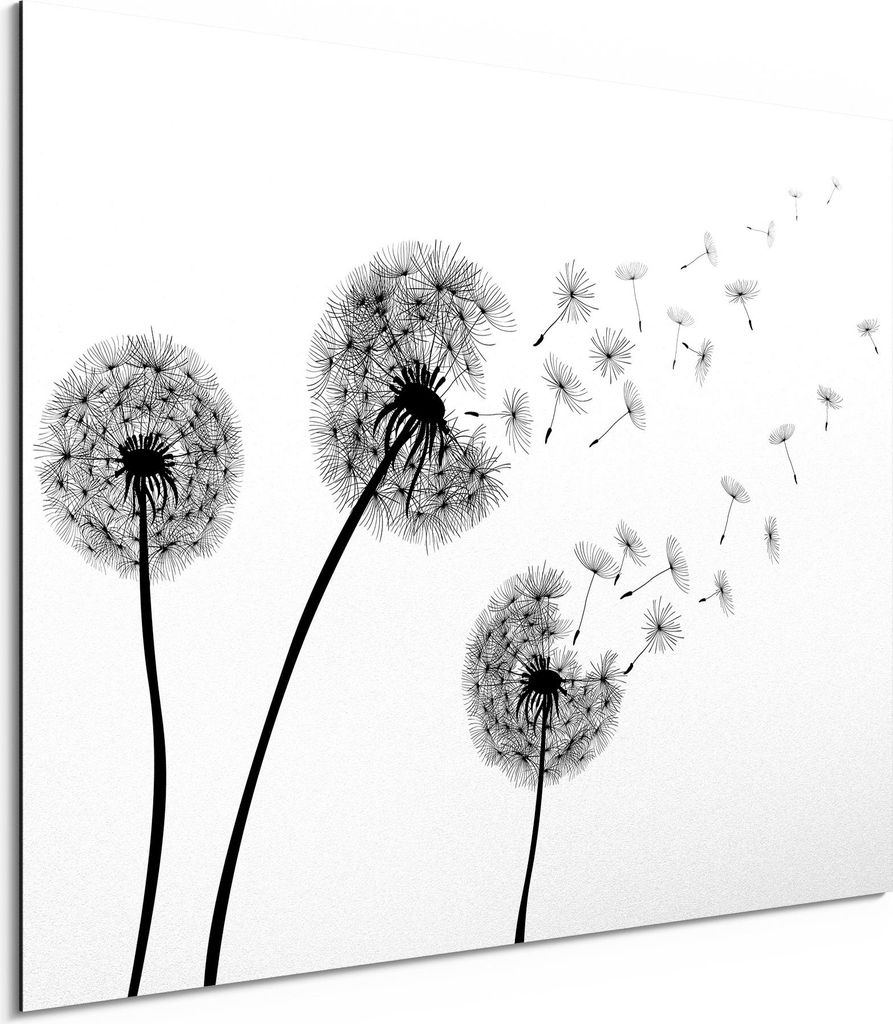 DEQORI Alu-Dibond Bild Weiß 80x60 cm 'Schwarze Pusteblumen' Wandbild Metall dünn Design
