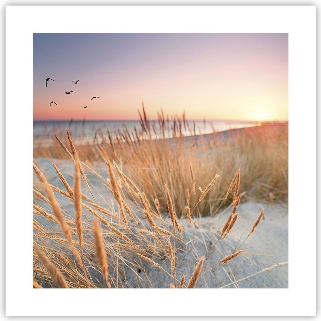 Poster - Poster ohne Rahmen - Sonne Vögel Sand - 40x40 cm - Wand Bild - Wanddeko - Wandbilder - Kunstposter - Wandposter - Bilder - Kunstdruck - W...