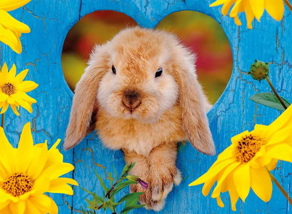 Puzzle 500 pièces Lapin nain Nathan - Finis les reflets et les pièces pliées