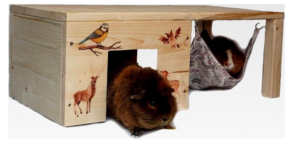 Meerschweinchenhaus mit Hängemattengestell und Haken