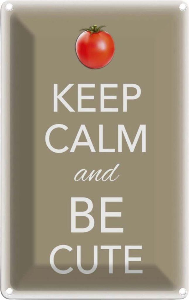 vianmo Blechschild 18x12 cm Keep Calm and be cute Tomate Yoga