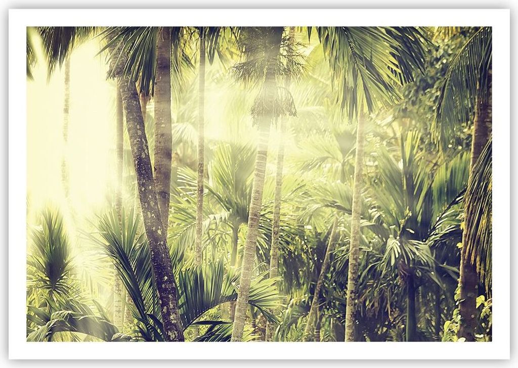 Poster - Poster ohne Rahmen - Morgendämmerung Dschungel Palmen - 100x70 cm - Wand Bild - Wanddeko - Wandbilder - Kunstposter - Wandposter - Bilder...