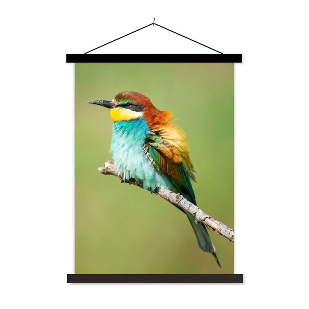MuchoWow Textilposter Vogel - Tiere - Bienenfresser 90x120 cm mit schwarzem Rahmen - Dekoration
