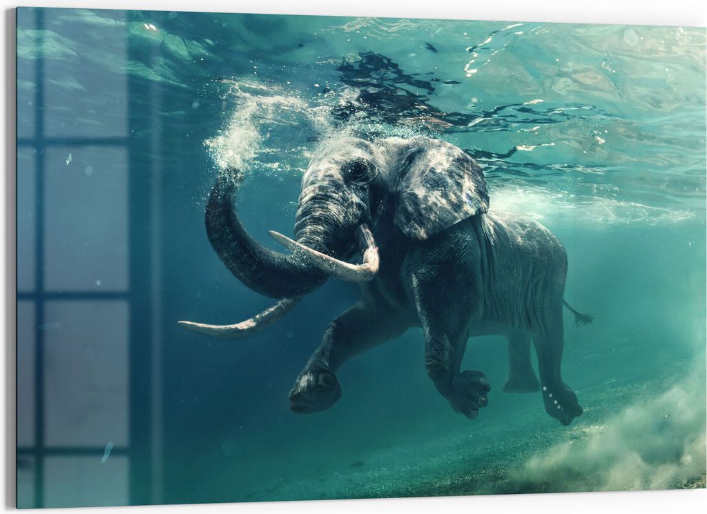 DEQORI Glasbild Echtglas 90x60 cm 'Schwimmender Elefant' Wandbild Bild modern Deko
