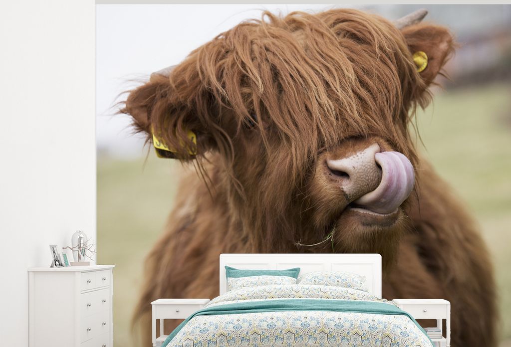 MuchoWow Fototapete für Wohnzimmer oder Schlafzimmer Wandtapete Vinyl Motivtapete Schottischer Highlander - Braun - Kuh - 300x240 cm - Fototapeten