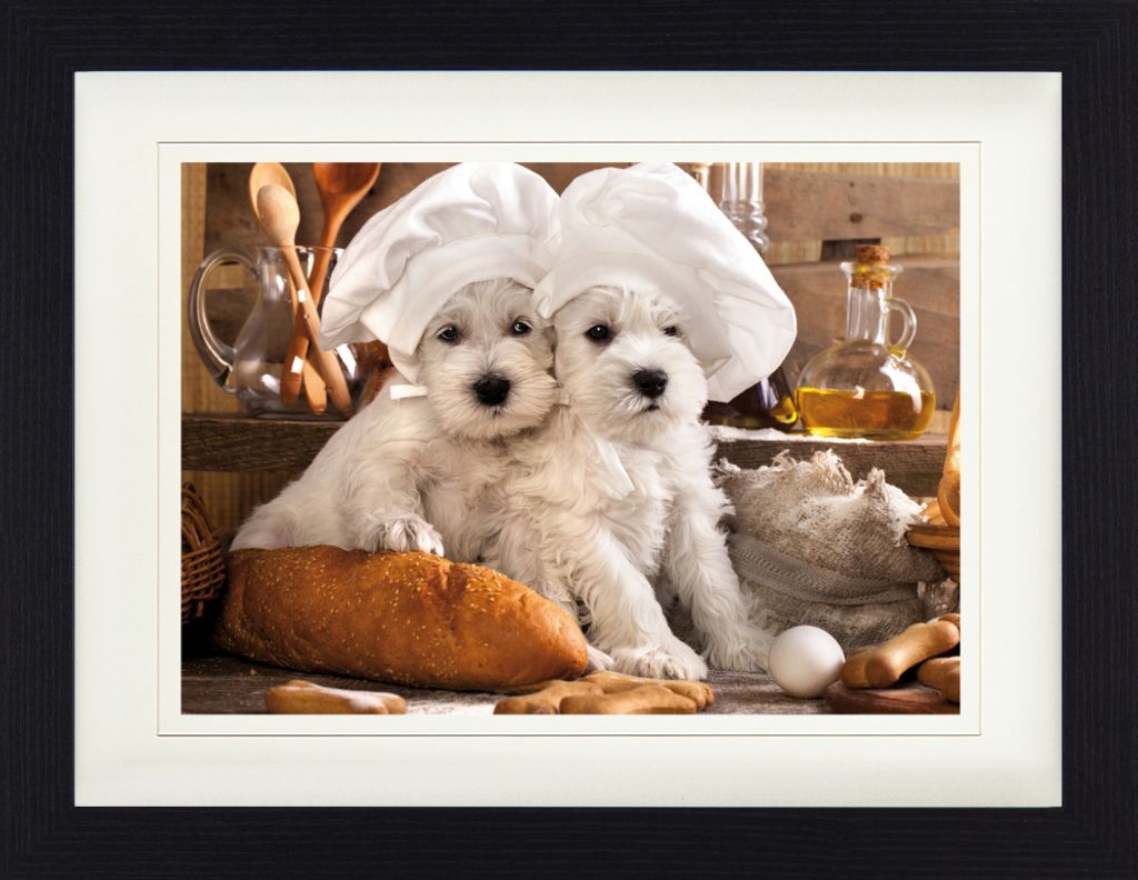 Hunde Gerahmtes Bild Mit Edlem Passepartout | Wand-Bilder | Im Bilderrahmen - Zwei Zuckersüße Hündchen (30 x 40 cm)