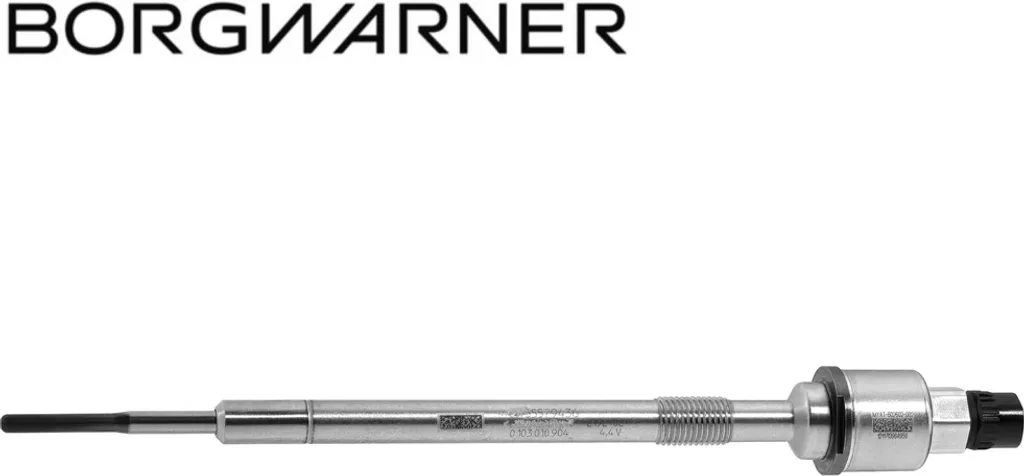 Occhiali da sole BORGWARNER (BERU) PSG006