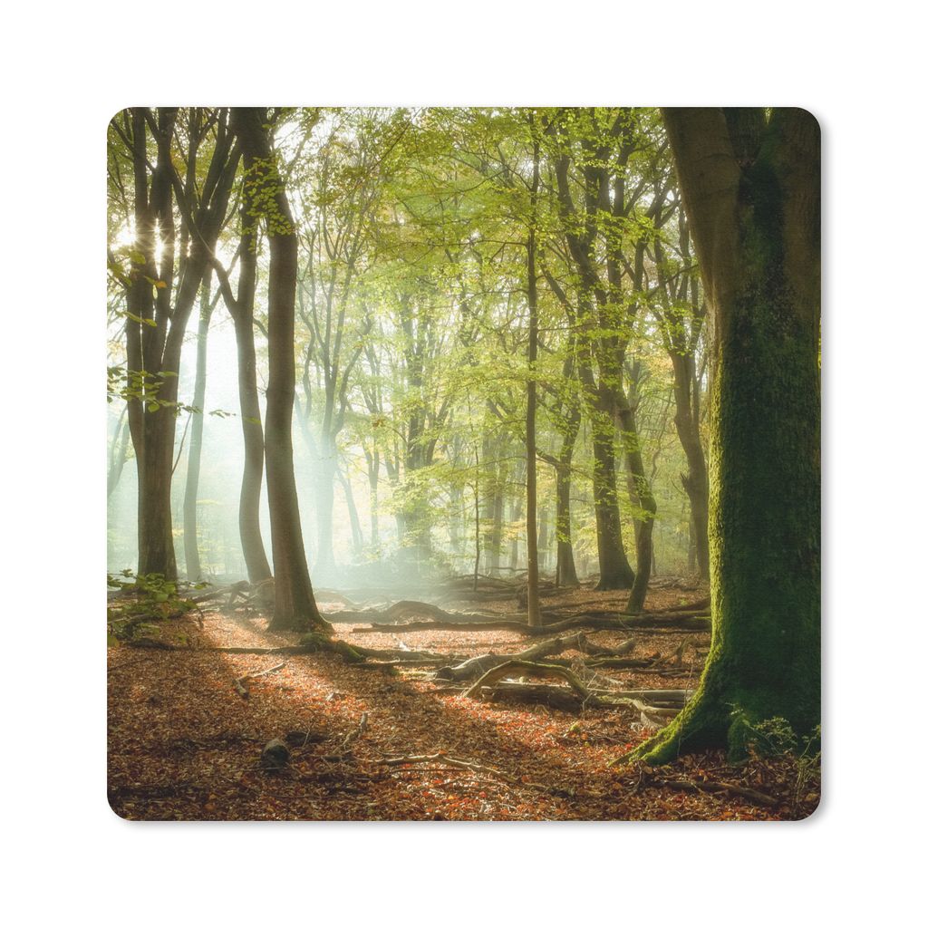 MuchoWow Mauspad Mousepad Wald - Sonne - Jahreszeiten - Landschaft 30x30 cm - Mousepads - Maus Mat - Pad - Mausunterlage - Gaming