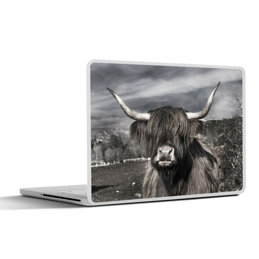 MuchoWow Laptop Aufkleber Sticker Cover Schottischer Highlander - Tiere - Hörner 36.5x27.5 cm - Laptop-Sticker