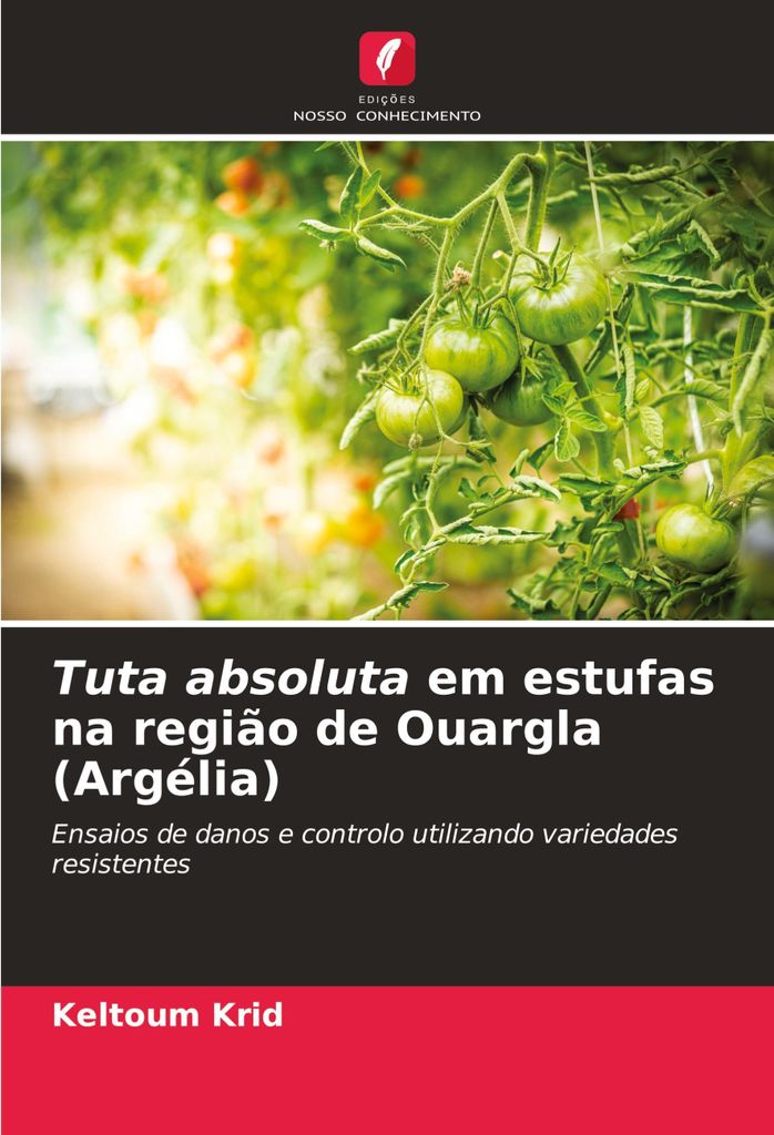 Tuta absoluta em estufas na região de Ouargla (Argélia)