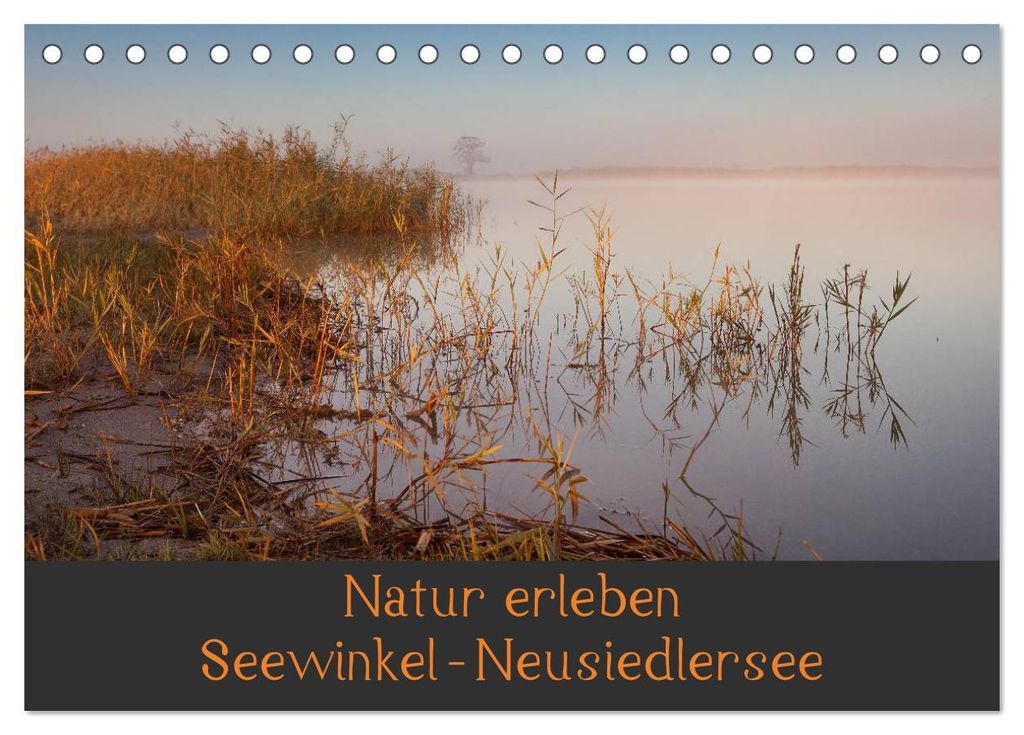 Natur erleben Seewinkel-Neusiedlersee (Tischkalender 2027 DIN A5 quer), CALVENDO Monatskalender