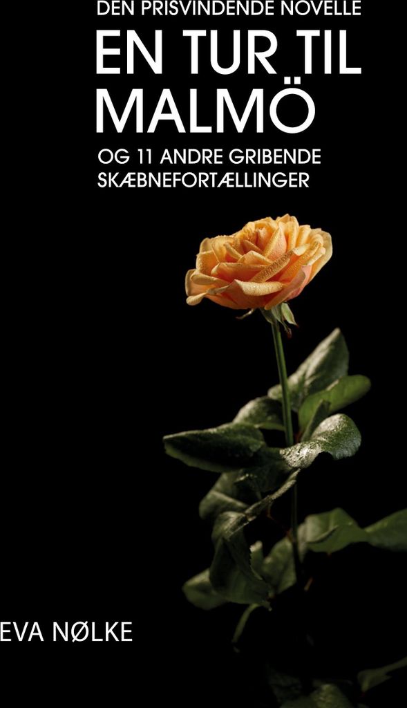 En tur til Malmö