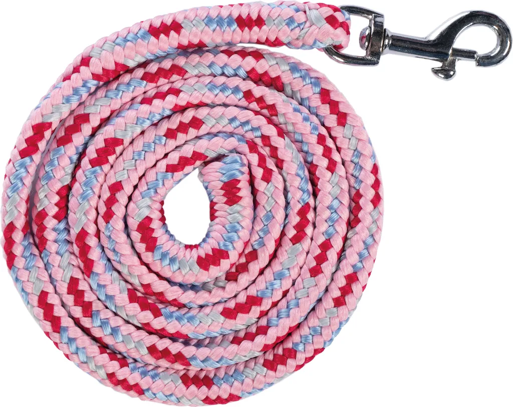Licol et longe pour compétition de Hobby Horsing - Modèle Flower