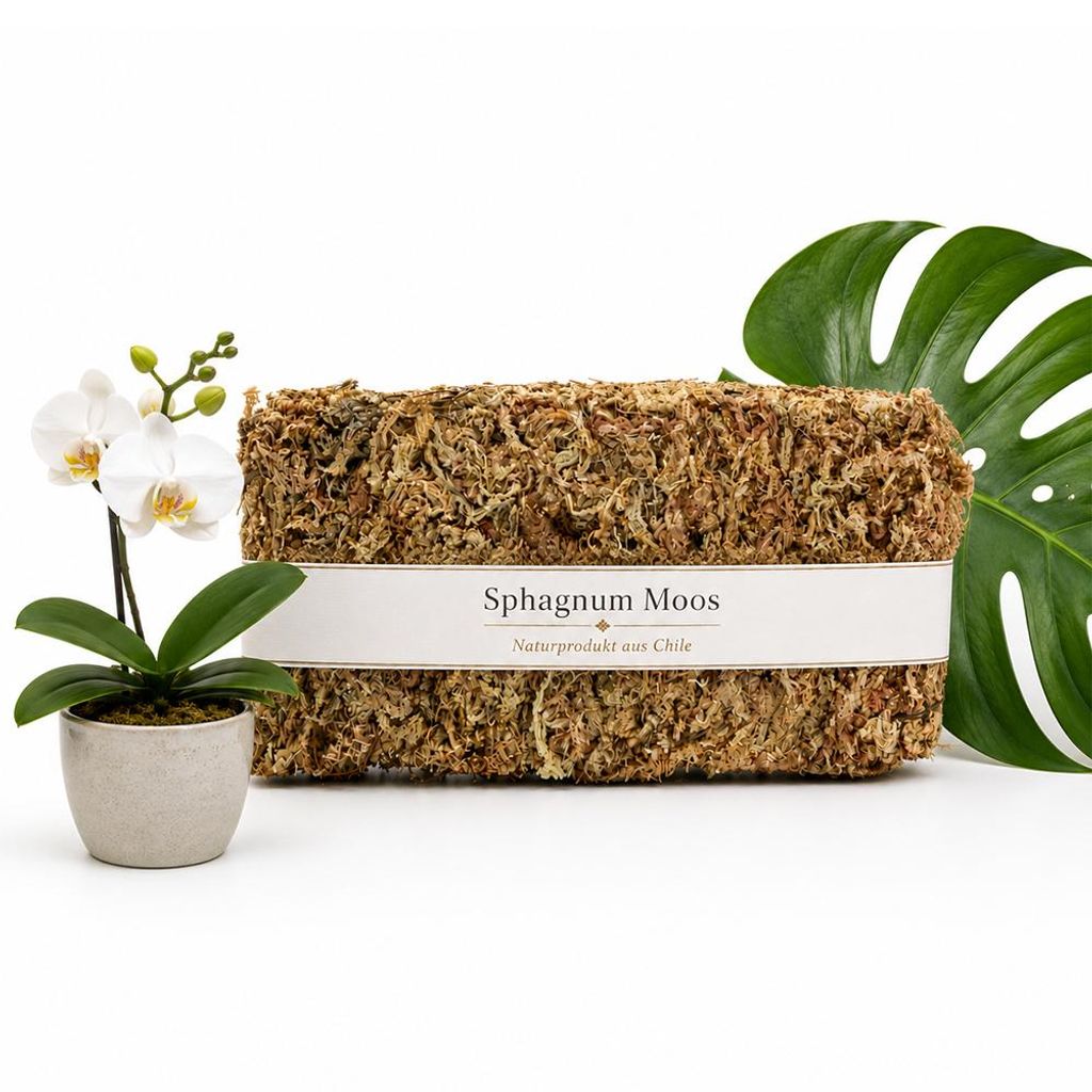 Sphagnum Moos 150g, ca. 10L – stark Wasser-speicherndes Produktbild 