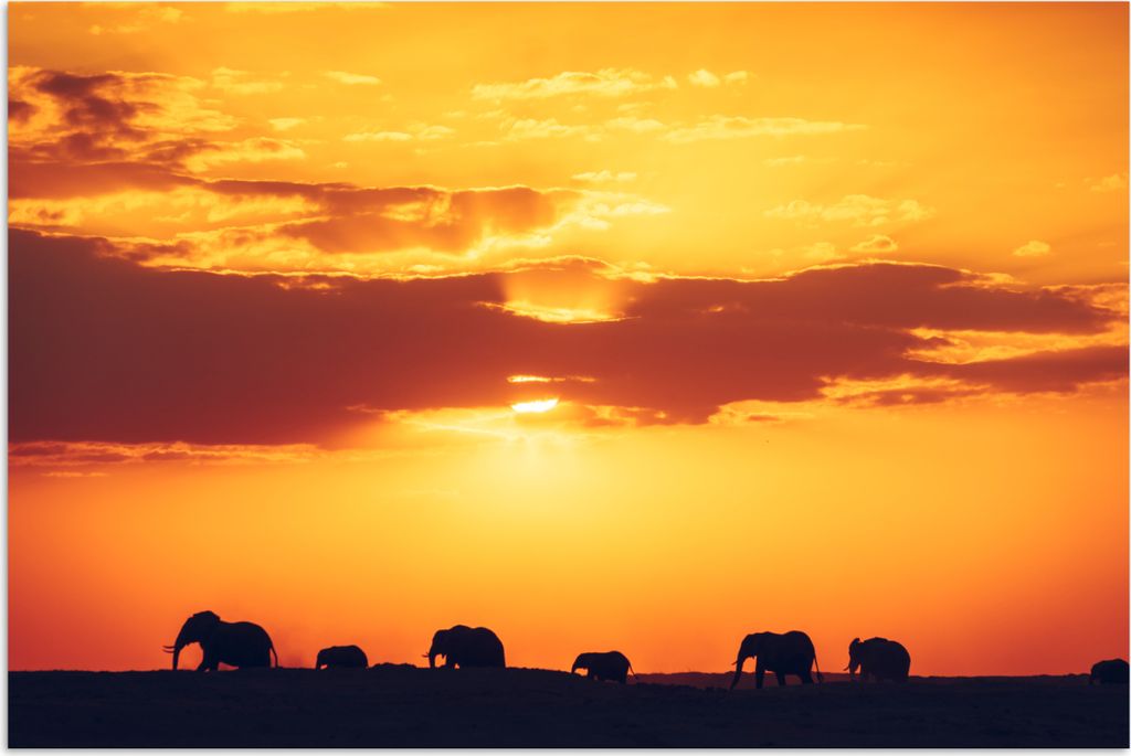 MuchoWow Poster Elefanten - Horizont - Sonnenuntergang - Tiere 120x80 cm - Bilder