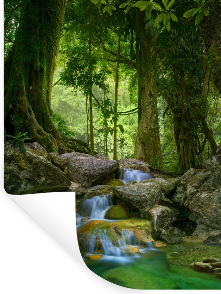 MuchoWow Wandtattoo Wandsticker Wandaufkleber Dschungel - Steine - Wasser - Natur - Pflanzen 60x80 cm Selbstklebend und Repositionierbar - Reposi...