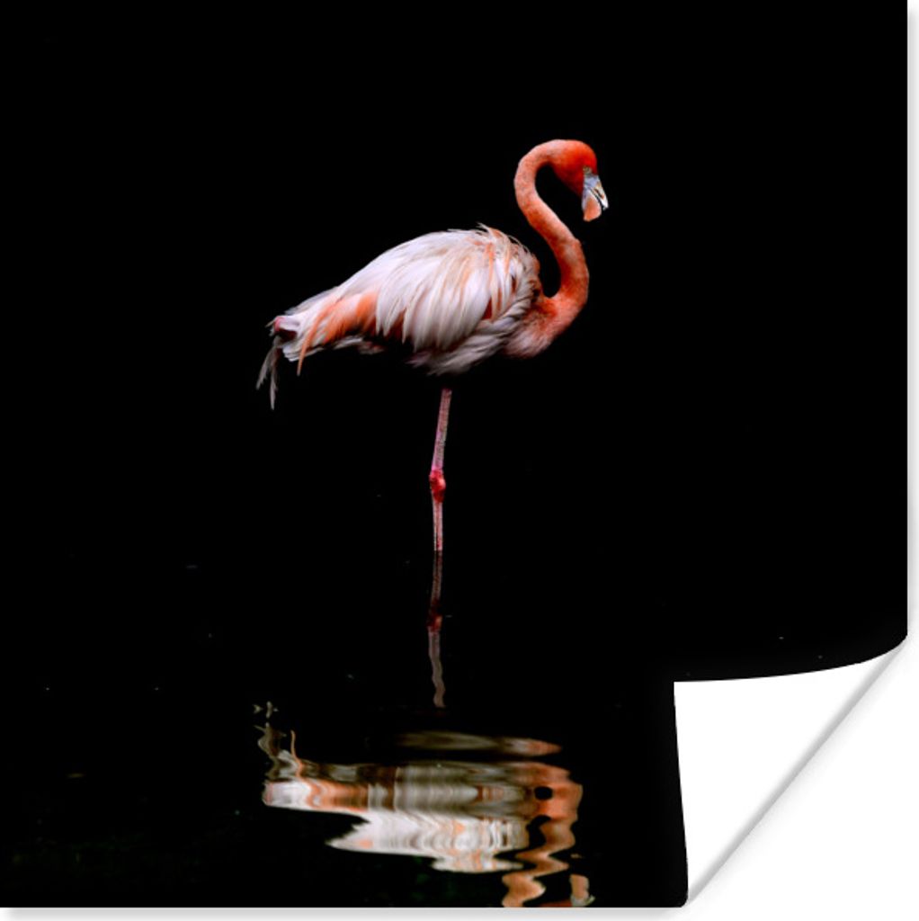 MuchoWow Poster Flamingo steht im Wasser 75x75 cm - Wand Dekoration