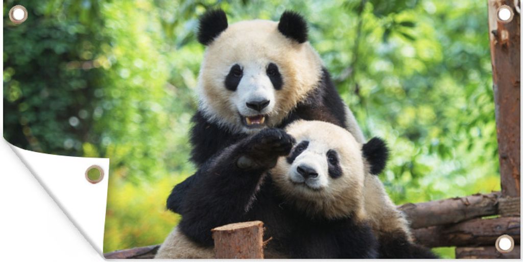 MuchoWow 160x80 cm Outdoor-Poster Gartendeko Sichtschutz Garten Poster für den Garten Panda - Brücke - Natur