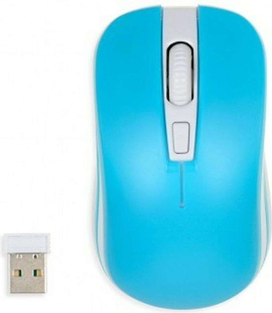 A blue wireless optical mouse and its USB receiver are shown on a white background.